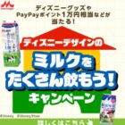 paypay ポイント 10,000pt / トイストーリーグッズセット 1万円相当 他