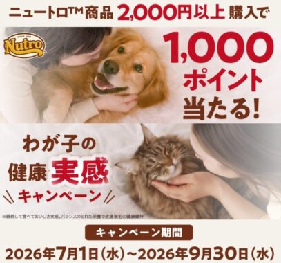 えらべるPay 1,000ポイント分