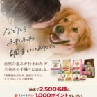 えらべるPay 1,000ポイント