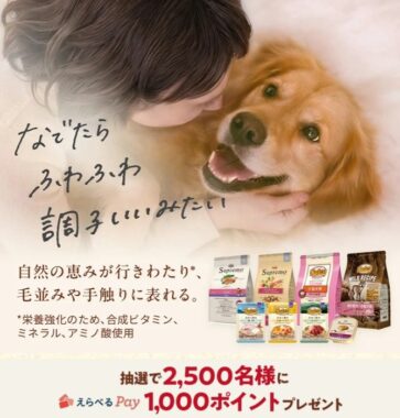 2,500名様にえらべるPayが当たるニュートロのクローズドキャンペーン