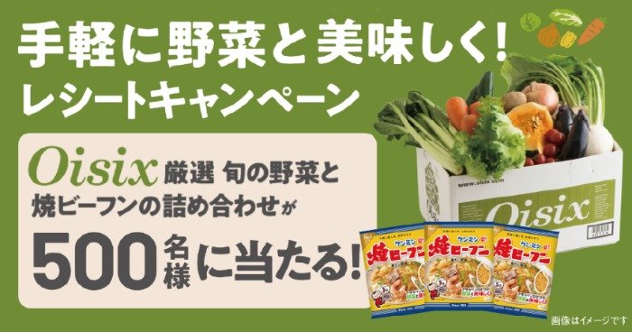 Oisix厳選野菜+ケンミン 焼きビーフン