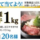 国産和牛 1kgが当たる井藤漢方製薬の豪華クローズドキャンペーン