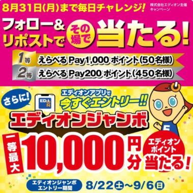 えらべるPay 最大1,000ポイント