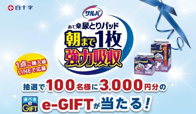 e-GIFT 3,000円分