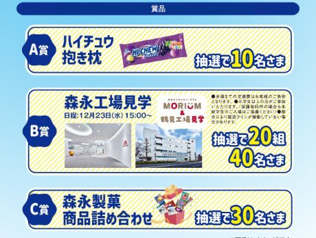 【NewDays×森永製菓】ハイチュウ抱き枕や森永工場見学なども当たるキャンペーン