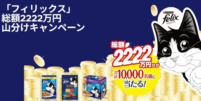 最大10,000円分のPayPayポイントが当たる毎週抽選キャンペーン