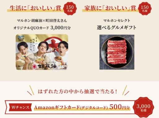 QUOカード 3,000円分 / グルメギフト / Amazonギフトコード 500円分