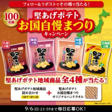 堅あげポテト地域商品詰め合わせ