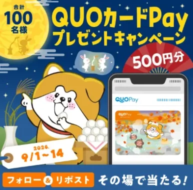 QUOカードPay 500円分