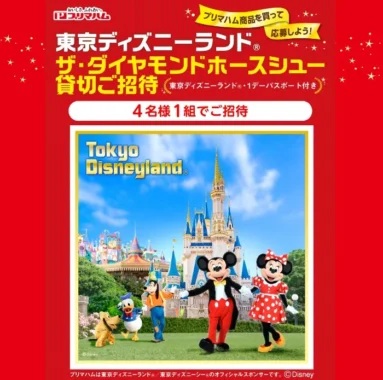 ディズニーランド ザ・ダイヤモンドホースシュー特別プラン招待