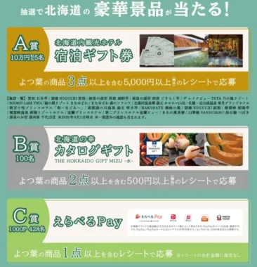 北海道内観光ホテル宿泊ギフト券 10万円相当 / カタログギフト / えらべるPay 1,000P