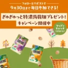 毎日応募できる懸賞情報まとめ