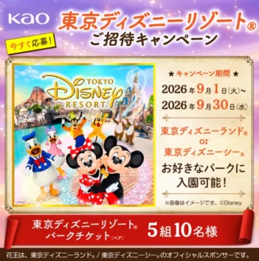 東京ディズニーリゾート パークチケット