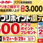 エイトザタラソのヘアケアがお試しできるモニター募集キャンペーン
