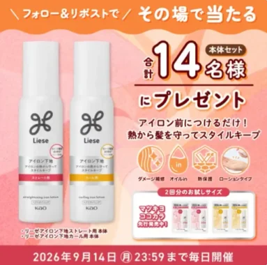 リーゼ アイロン下地セット