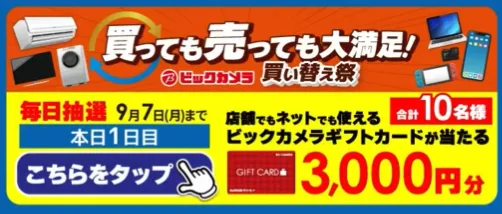 ビックカメラギフトカード 3,000円分
