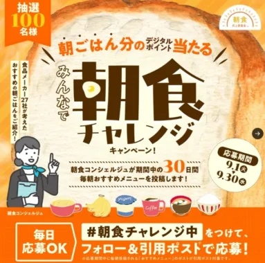 えらべるPay 300円分