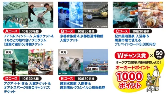 ノアドルフィンドーム入場チケット＆イルカ触れ合い体験 他