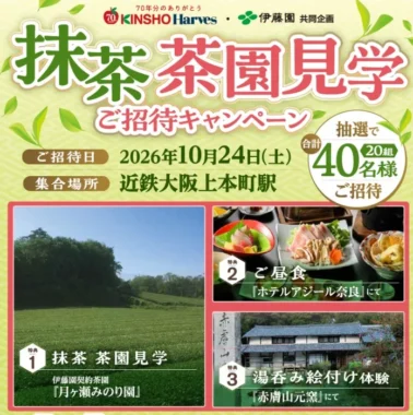抹茶 茶園見学ご招待