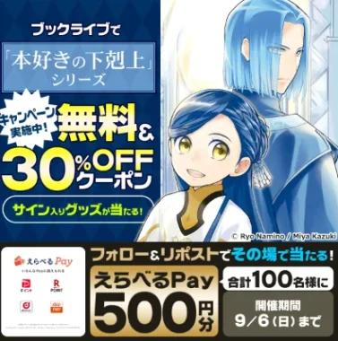 えらべるPay 500円分