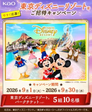 東京ディズニーリゾート パークチケット
