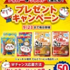 毎日応募できる懸賞情報まとめ