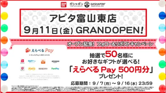 えらべるPay 500円分