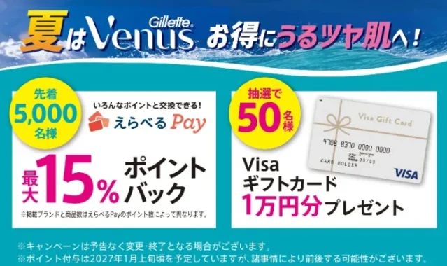 えらべるPay 最大15％ポイントバック / Visaギフトカード 1万円分