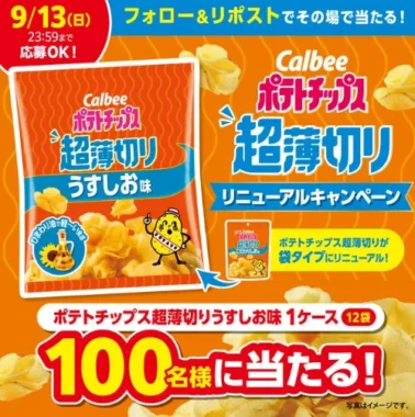 ポテトチップス超薄切り うすしお味 1ケース