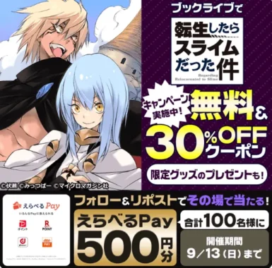 えらべるPay 500円分