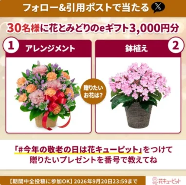 花とみどりのeギフト 3,000円分