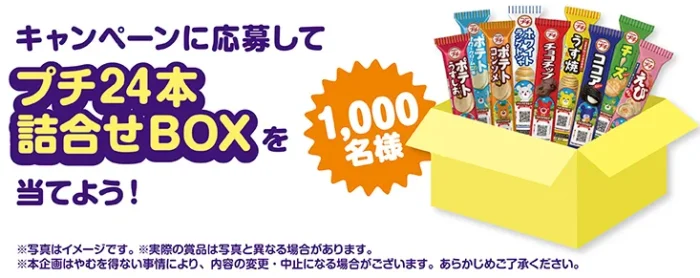 プチ24本詰め合わせBOX