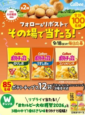 ポテトチップス詰め合わせ