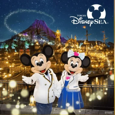 東京ディズニーシー プライベート・イブニング・パーティー招待券 他