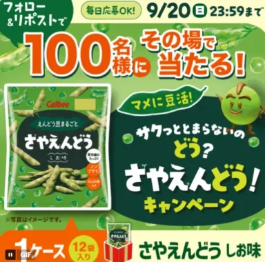 さやえんどう しお味 12袋
