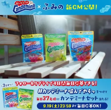 カンデミーナセット