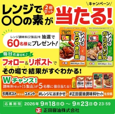 レンジで〇〇の素 2個セット