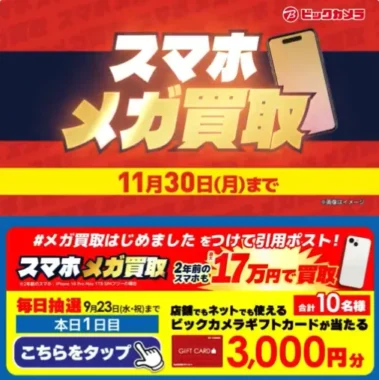 ビックカメラギフトカード 3,000円分
