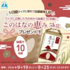毎日応募できる懸賞情報まとめ