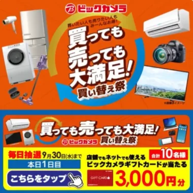 ビックカメラギフトカード 3,000円分