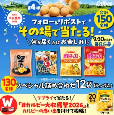 カルビー商品 12袋詰め合わせ