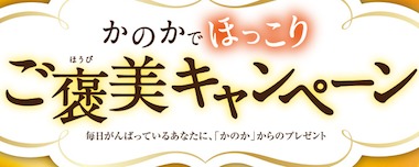 一休.comギフト ペア宿泊券 / A5等級松坂牛サーロイン＆モモ各300g or タラバガニ脚 3kg / 厳選12種お米セット or 北海海鮮食べ比べセット