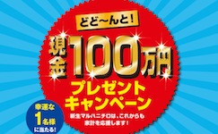 現金100万円