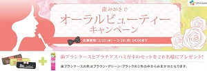 歯ブラシケースとプラチアスハミガキの2点セット