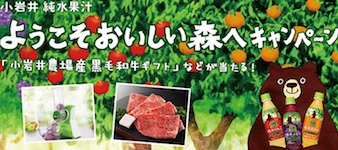 お肉コース / 料理コース / 絵本コース / おやつコース