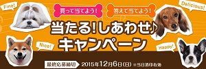 JCBギフトカード 10,000円分