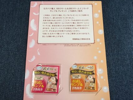 常盤薬品「毛穴パテ職人 サンプル