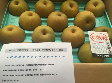 トミダ・理研ビタミン共同企画「秋の味覚 幸水梨」　リケン