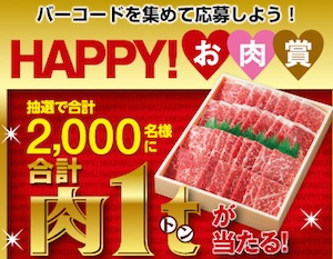 合計肉1t