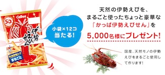 かっぱ伊勢えびせん